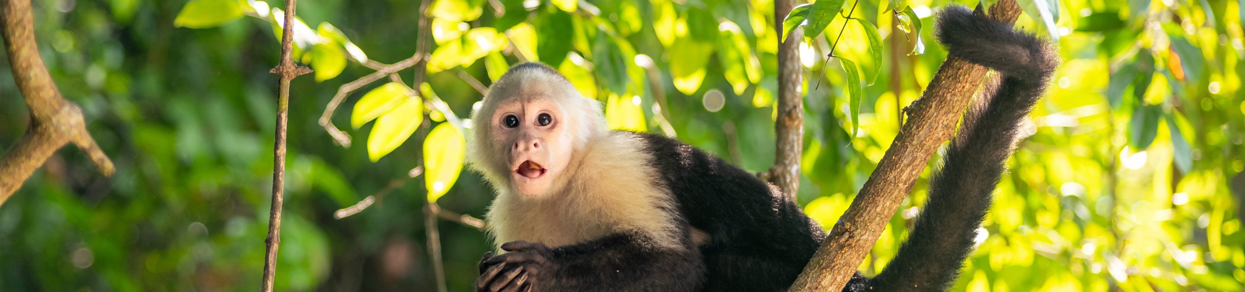 Costa Rica bucket list